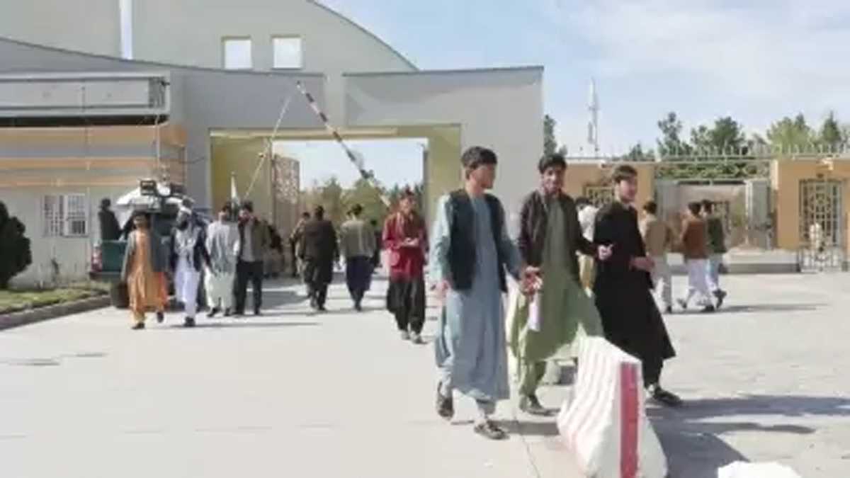 तालिबान सरकार ने भेड़ के अंडकोष पर लगाया प्रतिबंध